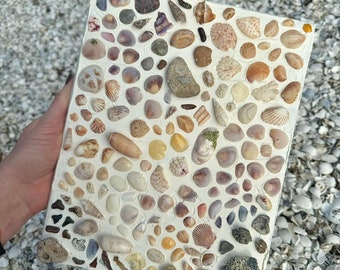 Seashell Mixed Media Canvas