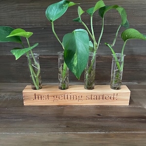 Stylish plant propagation station, made from natural wood it holds 4 cuttings in separate glass tubes. Glass tubes included.