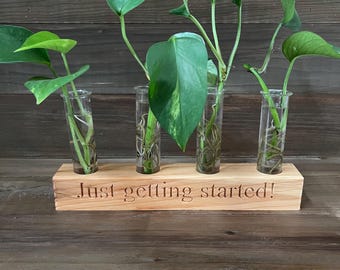 Estación de propagación de plantas de madera grabada, 4 tubos de vidrio