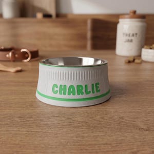 Pode incluir: Uma tigela para animais de estimação cinza-claro com interior em aço inoxidável e textura externa canelada. O nome CHARLIE está impresso em letras verdes em negrito na frente, acentuado por uma faixa horizontal verde na base.