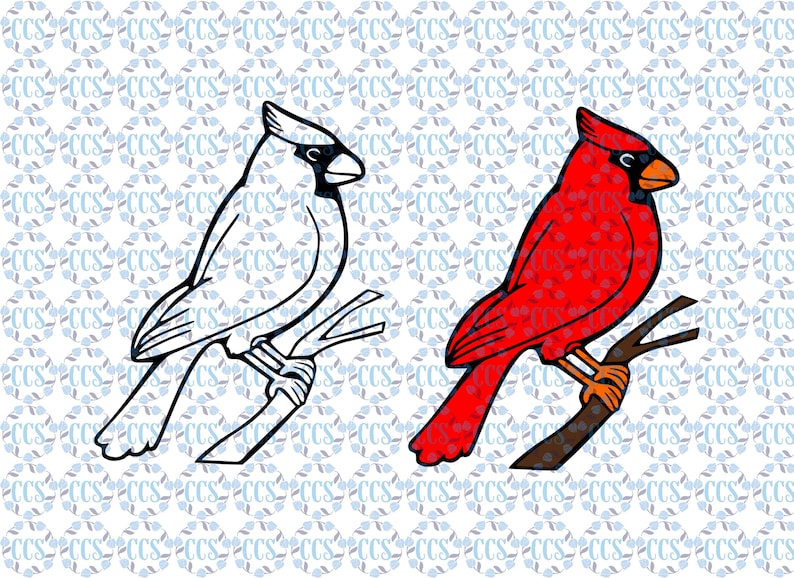 May include: A pair of cardinal birds perched on branches. One cardinal is red and the other is white.