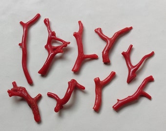 Red Coral 100% Natural Italian Red Coral Gemstone Loose Branch Polished AAA+ Quality Coral Stick Gemstones Red Coral  Polished Stick K334