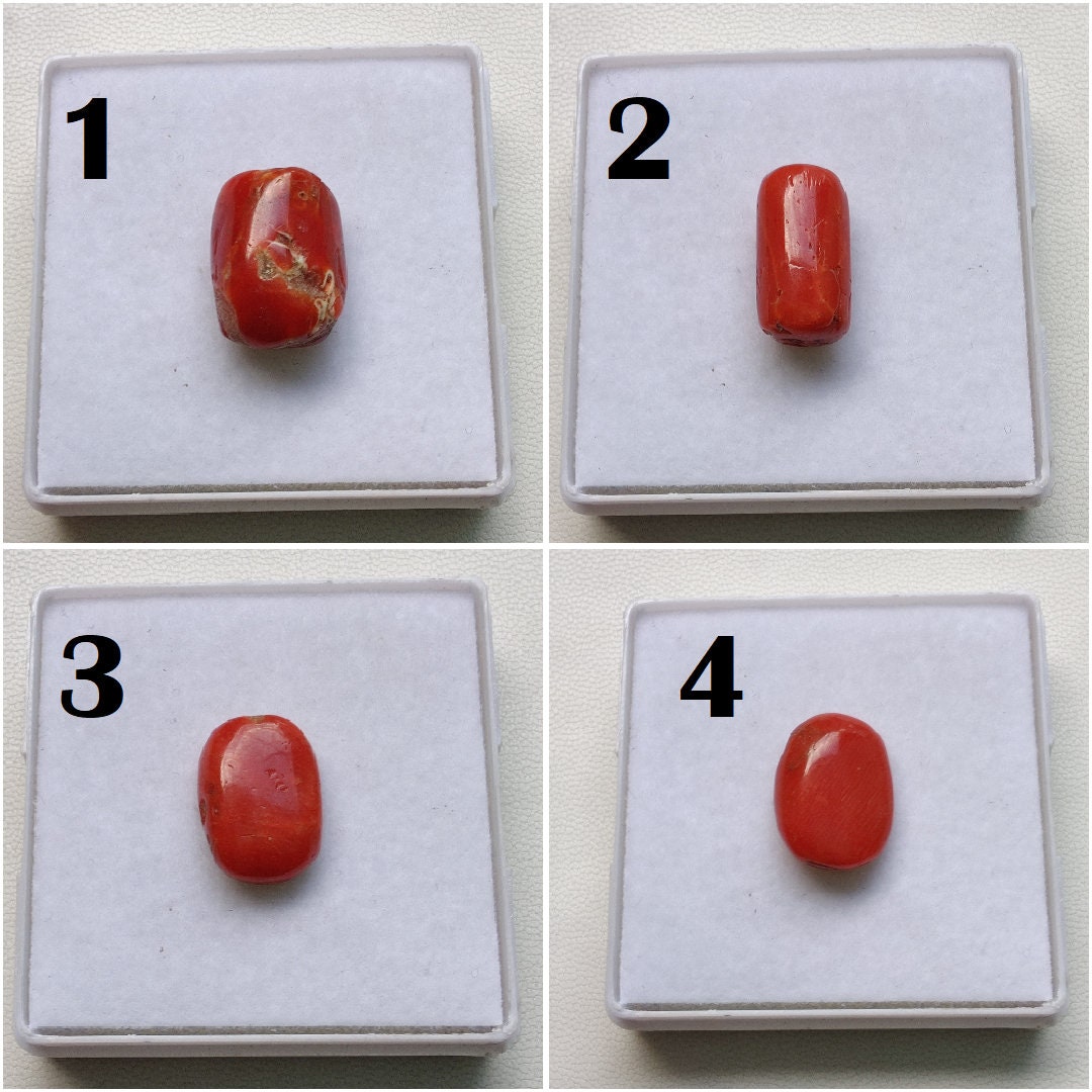 Types of shop coral stone