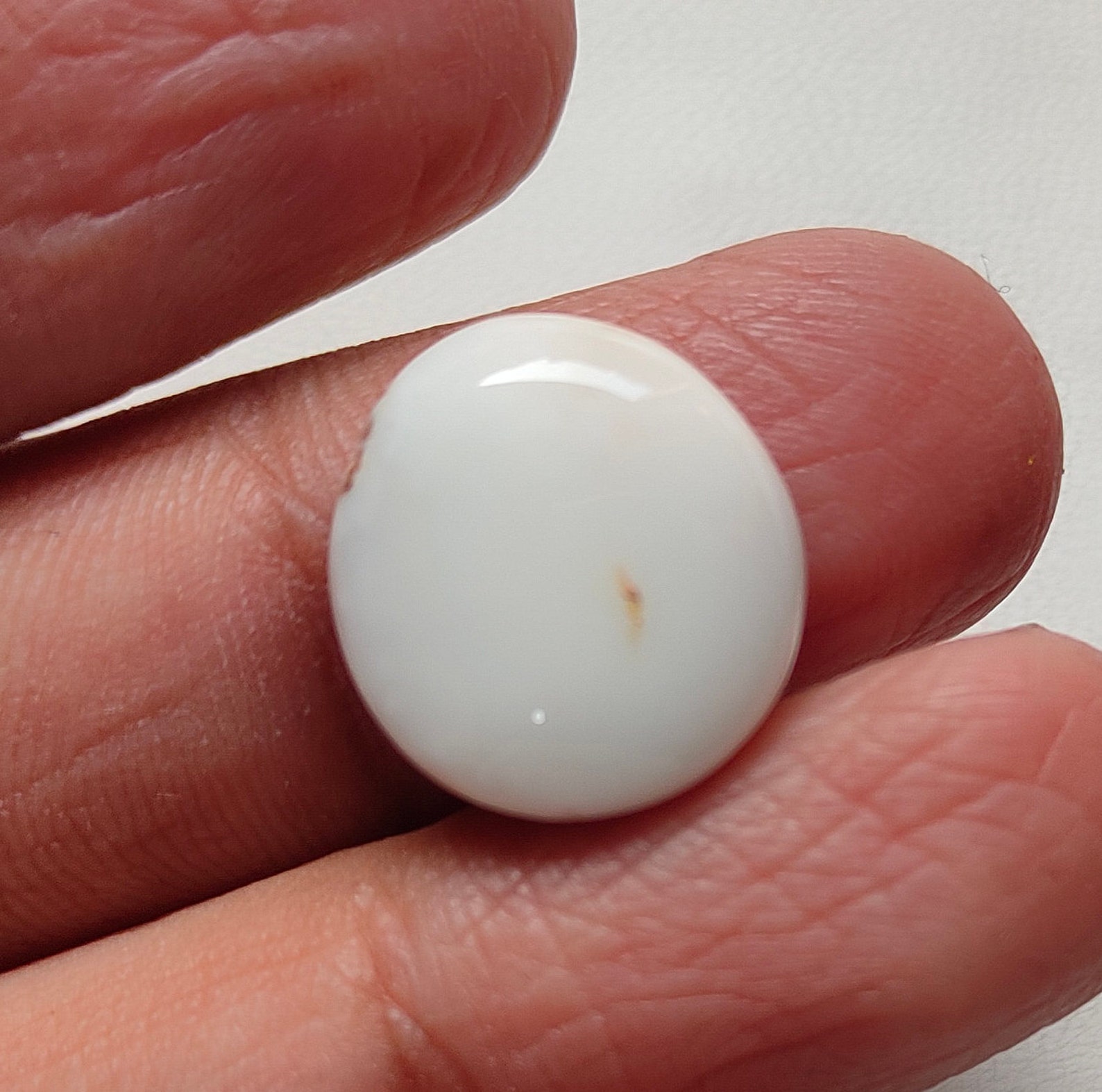 SALE White Coral 100 Natural Japani Coral Gemstone Oval Etsy