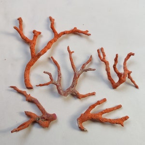 Branche De Corail Rouge Naturel 100% Italien - Pierre Précieuse Polie - Idée Cadeau Vintage