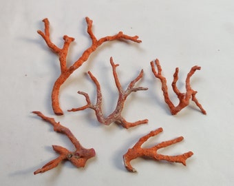 Beautiful 100% Natural Coral Stick, Italian Red Coral Branch, Red Coral Unpolished Rough Loose Gemstone, Wholesale Supplies, IP552