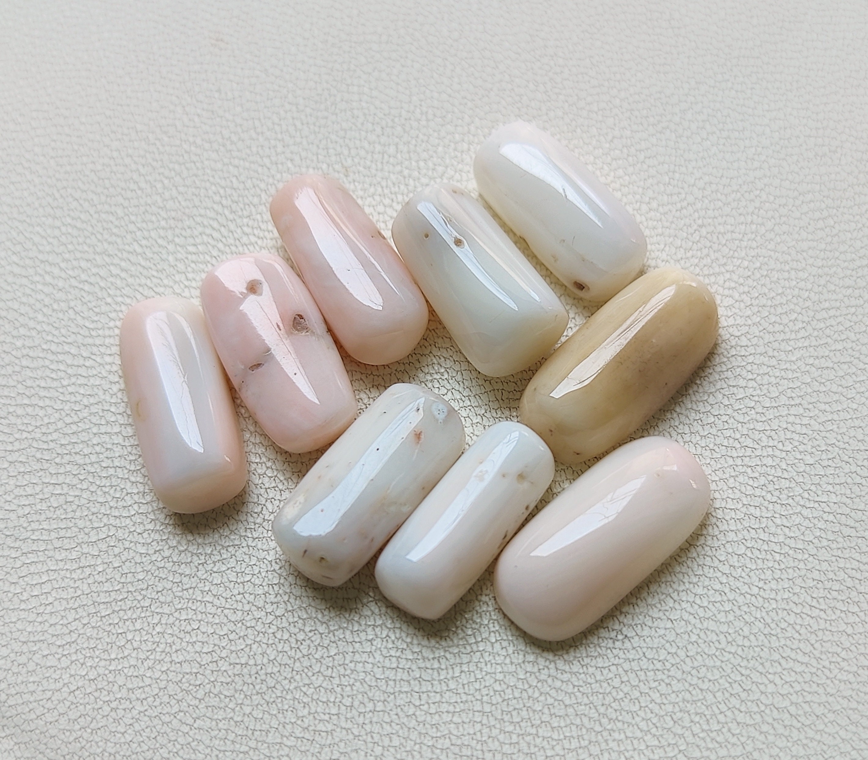 コーラルフリークス Coral Freaks