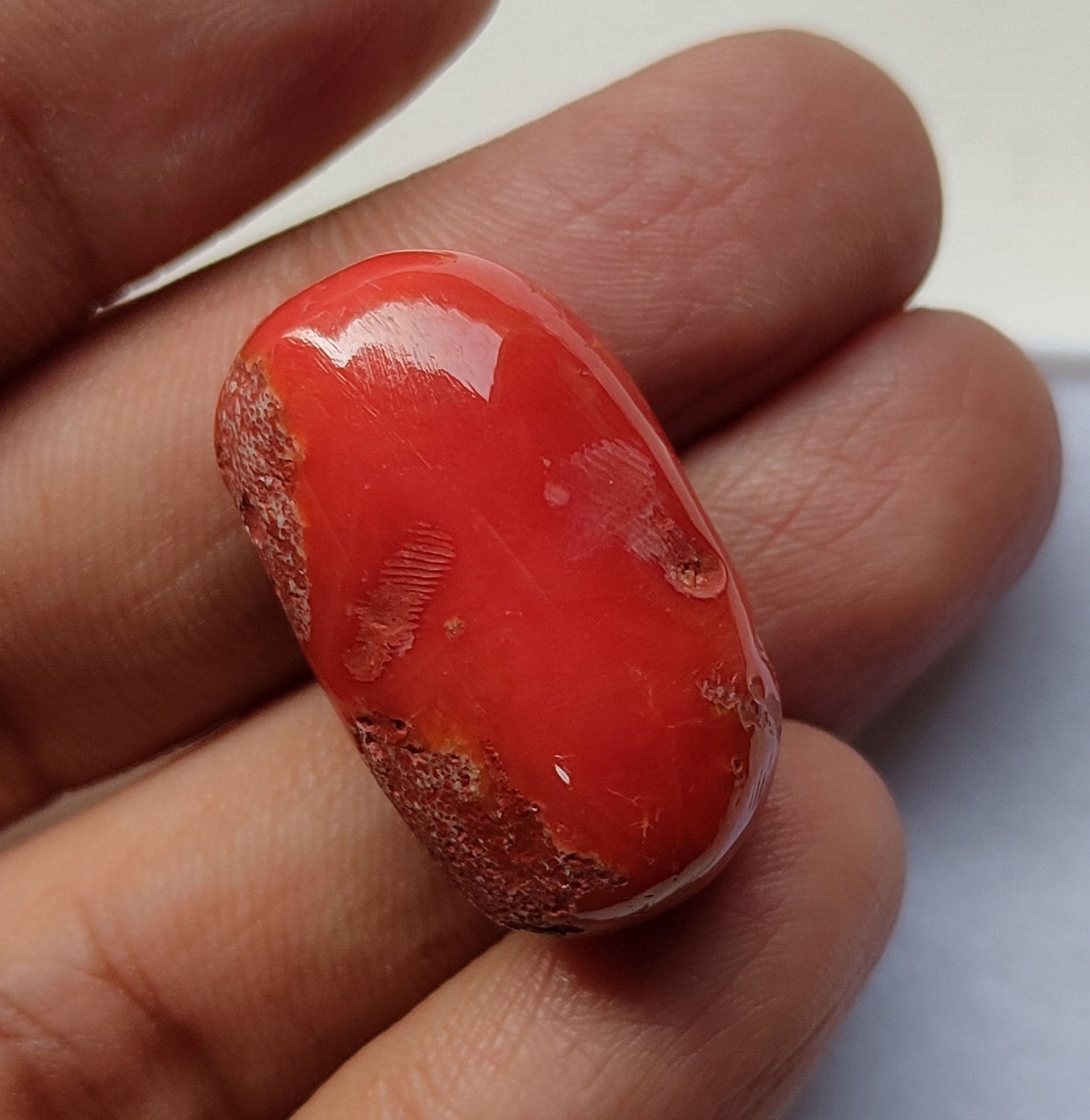 100 Natural Italian Coral Cabochon Red Coral Etsy