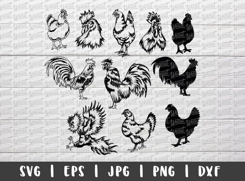 Download Cute Chicken SVG Files for Cricut / Hen svg / Farmhouse ...