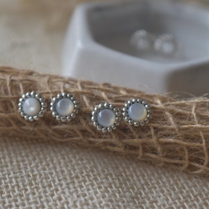 White Shell Push-Back Earrings