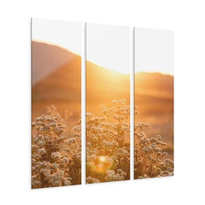 Serene California Sunset Acrylic Prints (Triptych), Home Decor, Wall Art, Nature Artwork, Floral Triptych, Gift for Art Lovers