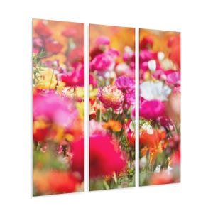 Triptych Acrylic Prints, Vibrant Flowers Wall Art, Floral Home Decor, Botanical Wall Hanging, Nature Photography, Three Piece Artwork,