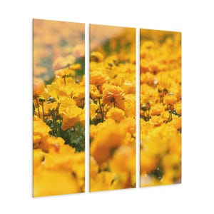 Vibrant Floral Acrylic Print Triptych