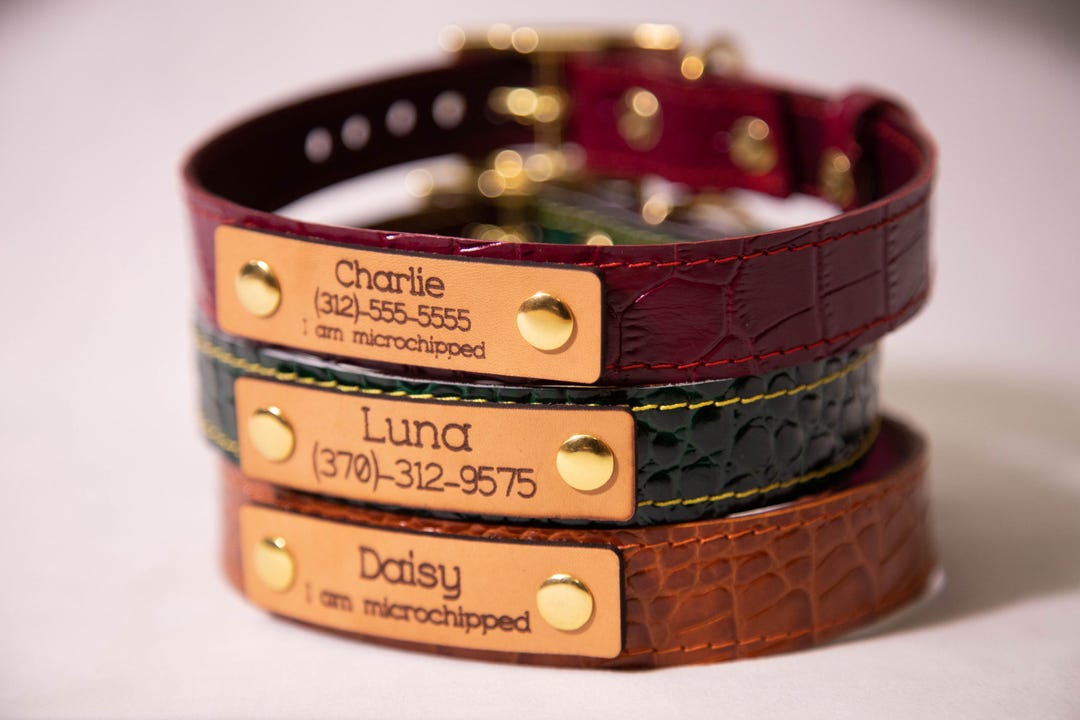 Personalised Dog Collar, Leather Dog Collar Personalized, Custom Dog ...