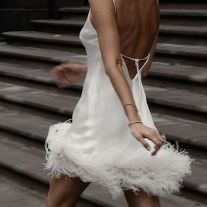 11+ White Feather Dress