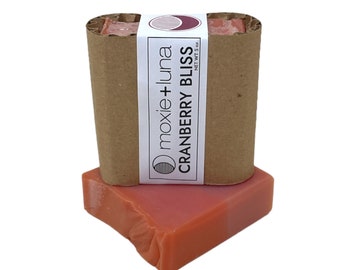 Cranberry Soap Best Seller Soap Moisturizing Soap Luxury Soap Handcrafted Soap Bar | Cranberry Bliss 5oz bar