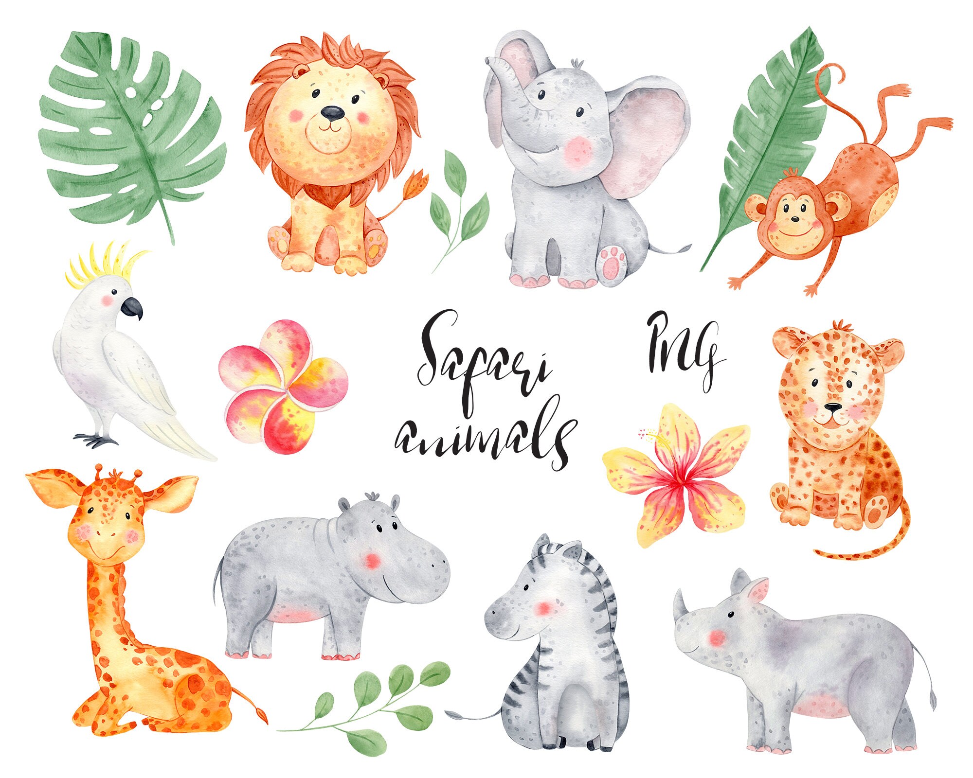 Safari Baby Shower Watercolor Clipart Watercolor Safari Etsy