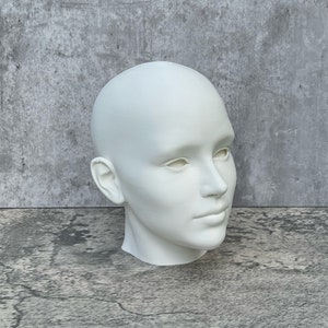 Human Head 10 25.4 cm, Human Bust, Learn the Planes of the Head image 3