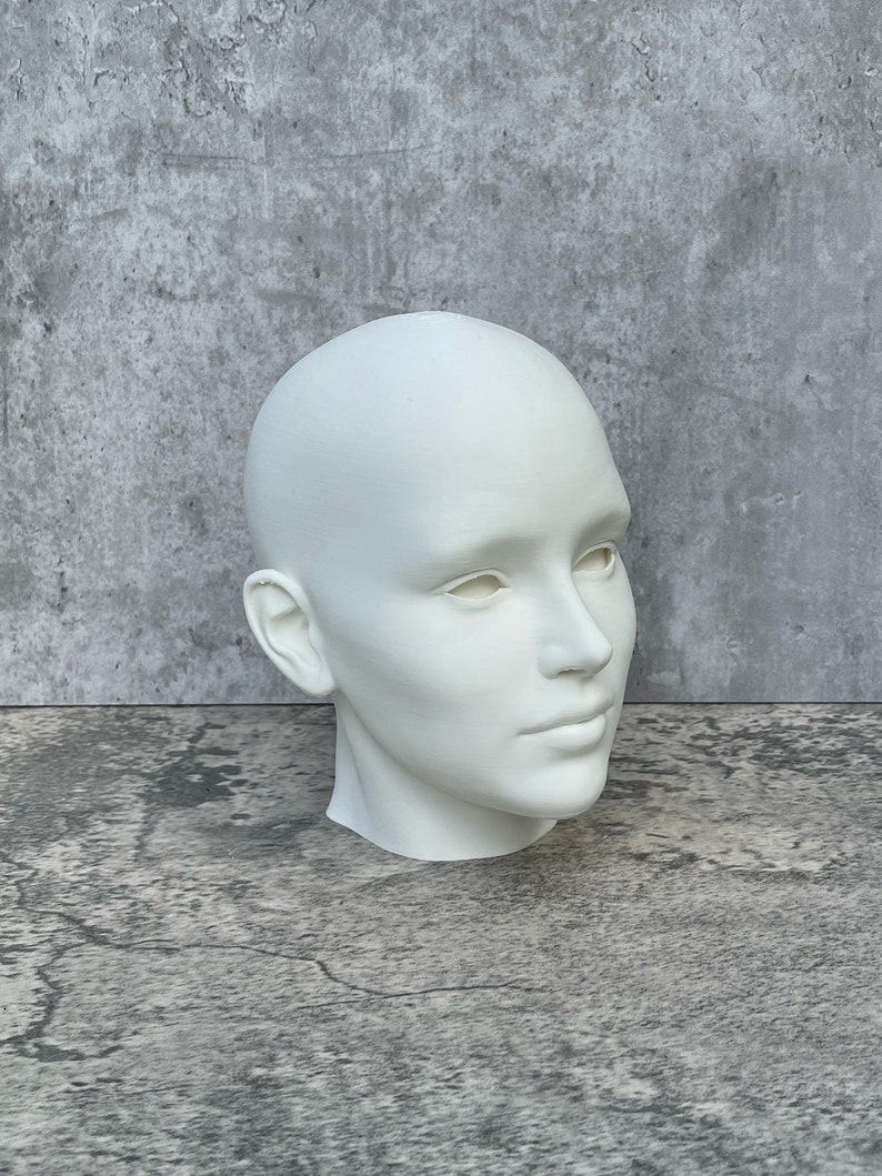 Human Head 10 25.4 cm, Human Bust, Learn the Planes of the Head image 3