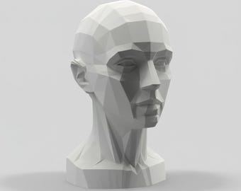 Eve planar bust v2.0. The ultimate tool for learning the planes of the female human head!