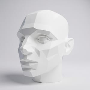 Cabeça enorme de 30,48 cm (12") no estilo de John Asaro, para desenho, ferramenta de arte e referência médica.