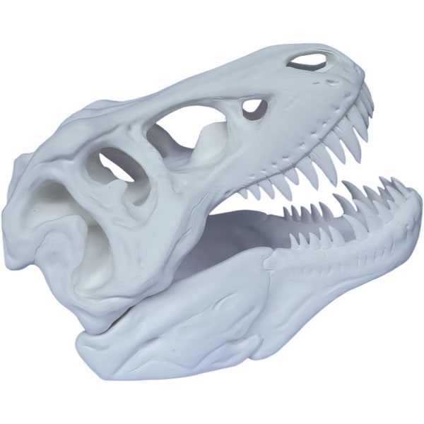 Dinosaur Skull Statue, T-Rex Skull Sculpture with bone color material 11" x 8" x 6.5" made 100% in the USA, ships in 24 hours.