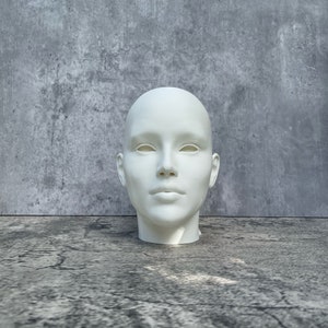 Human Head 10 25.4 cm, Human Bust, Learn the Planes of the Head image 6