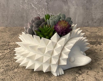 Adorable Hedgehog Planter |  Vase | Succulent | Ships in 24 hours