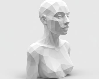 Huge John Asaro style Modern Female Planar Head Bust -  2 Pieces model -  Art Tool & Decor