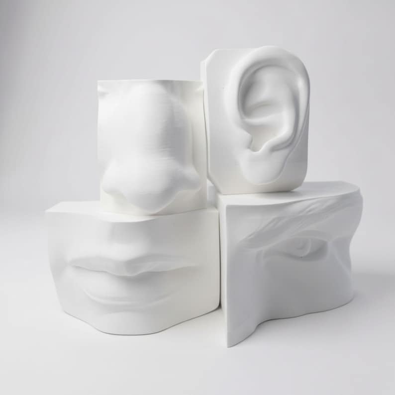 Human Head Model Reference Human Head Anatomy Reference: 3D Printed Facial Features Model Set - Etsy