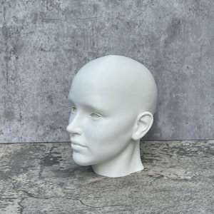 Human Head 10 25.4 cm, Human Bust, Learn the Planes of the Head image 2