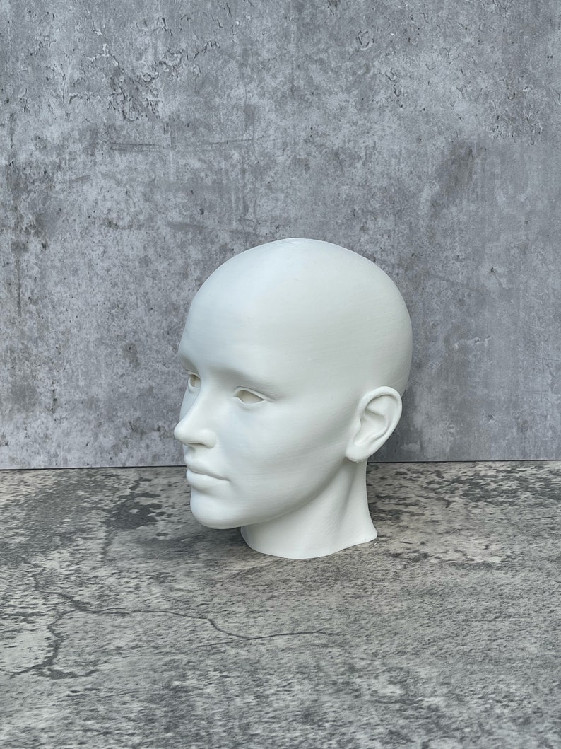 Human Head 10 25.4 cm, Human Bust, Learn the Planes of the Head image 2
