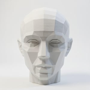 May include: A white, geometric sculpture of a human head. The head is rendered in a low-poly style, with numerous flat planes creating the form. The sculpture has a smooth, matte finish and is set against a plain white background.