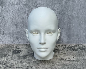 Human Head 10” 25.4 cm, Human Bust, Learn the Planes of the Head