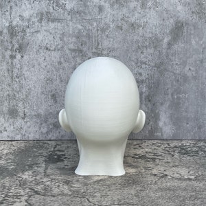 Human Head 10 25.4 cm, Human Bust, Learn the Planes of the Head image 4