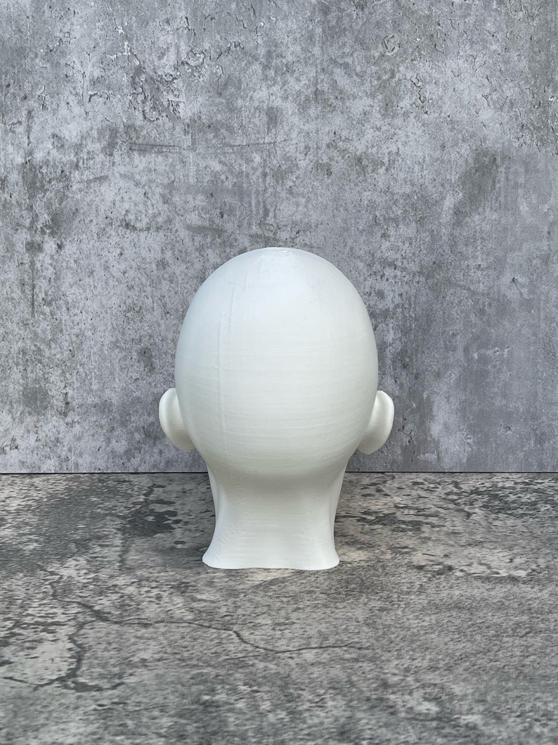 Human Head 10 25.4 cm, Human Bust, Learn the Planes of the Head image 4
