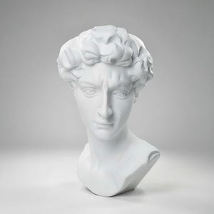 Puede incluir: Un busto blanco de David, una escultura clásica, se representa sobre un fondo gris suave. La escultura presenta rasgos faciales detallados, incluyendo una ceja fruncida y cabello rizado. El busto es un objeto decorativo.
