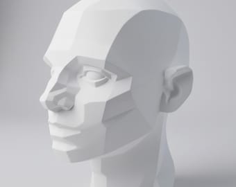 ジョン・アサロ風平面頭部胸像、図面参考、医療イラスト（10インチ）