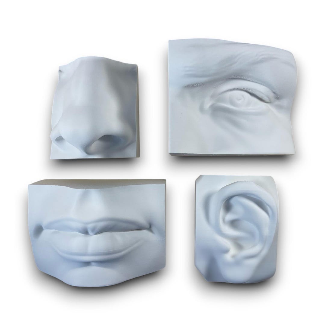 Human Head Anatomy Reference: 3D Printed Facial Features Model Set ...