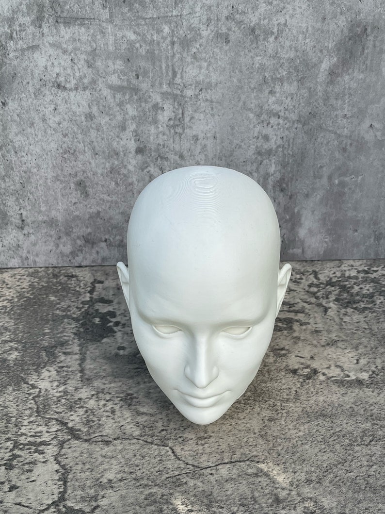 Human Head 10 25.4 cm, Human Bust, Learn the Planes of the Head image 5