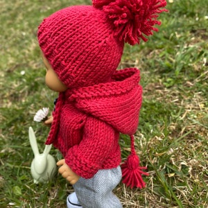 May include: A red knitted hooded sweater with a pom-pom on the hood and a matching pom-pom on the end of the zipper pull. The sweater is worn by a doll.