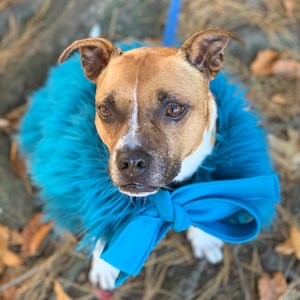 Turquoise Fun Fur Dog Coat