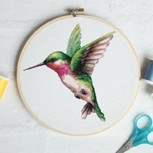 Perfect hummingbird #P927 Embroidery Cross Stitch Pattern Download | Stitching | Cross Stitch Designs | Stitch Design | Cross Designs