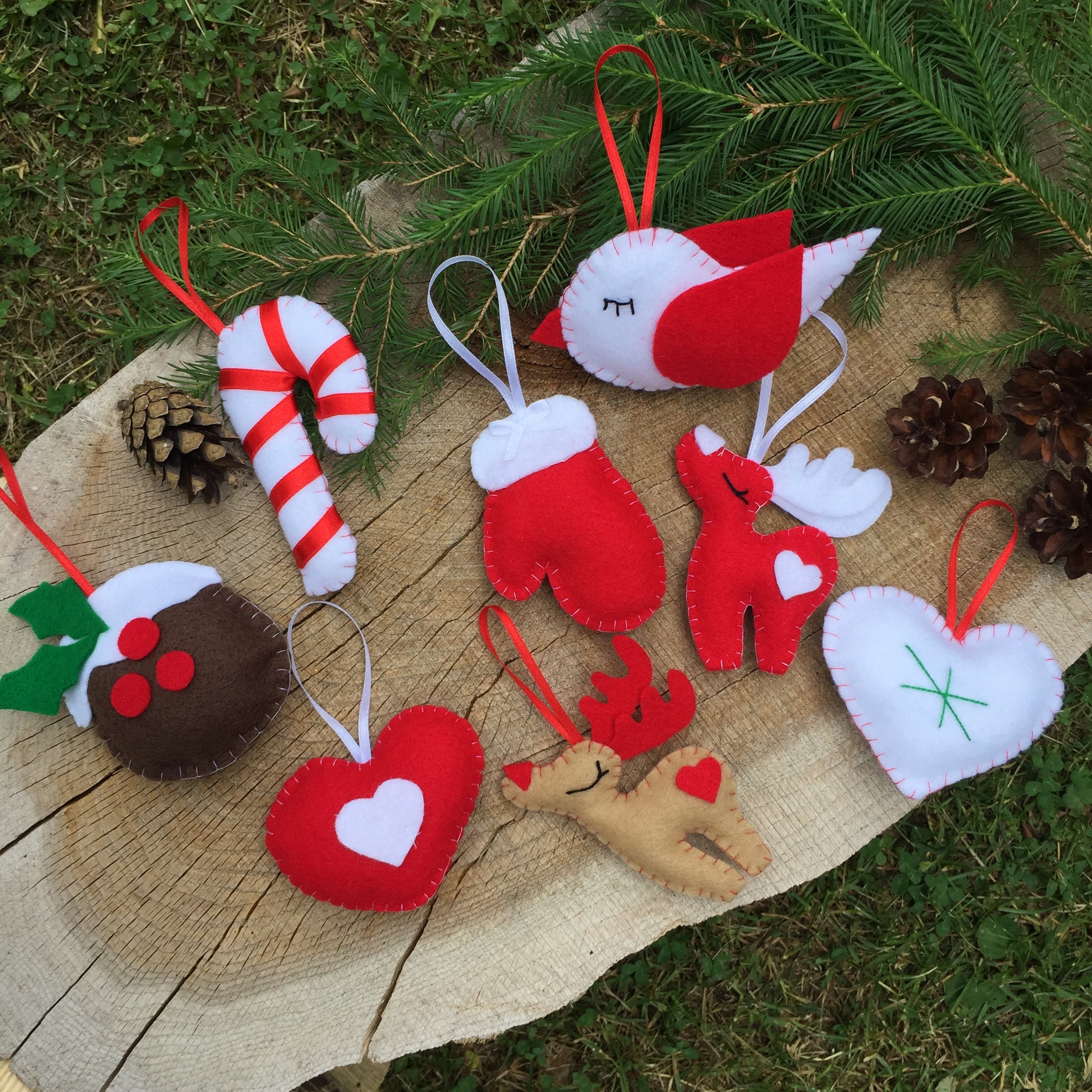 Kit De Dévissage NeoBiotech SR – Pour Retirer Les Vis D'implants Dentaires Cassées, Outil Chirurgical