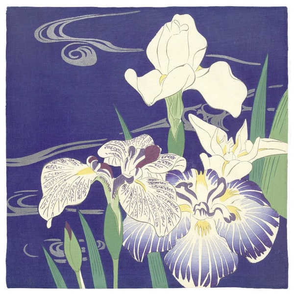Purple Iris Scarf