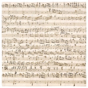 Mozart Notes de musique manuscrites Foulard