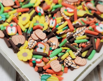 FAKE Fall Time on the Farm Sprinkle Mix - Fake Sprinkles - Fake Food - Clay Sprinkles - Decoden Sprinkle - Autumn Sprinkles