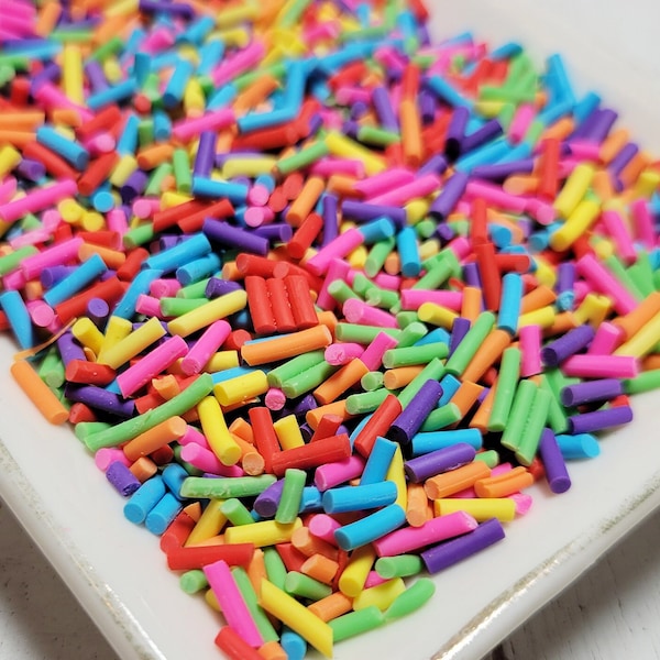 FAKE Bright Mixed Sprinkles - Fake Sprinkles  - Fake Food - Clay Sprinkles - Decoden Sprinkle - Bright Sprinkles - Slime Sprinkles