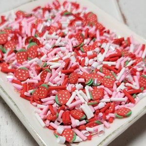 FAKE Strawberry Shortcake Sprinkles - Fake Sprinkles - Fake Food - Clay Sprinkles - Tumbler Sprinkles - Epoxy Sprinkles