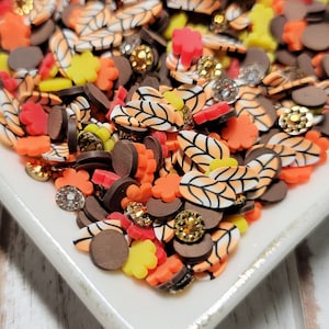 May include: A variety of fall-themed sprinkles in brown, orange, yellow, and white. The sprinkles are in the shape of leaves, flowers, and circles. They are on a white square plate.